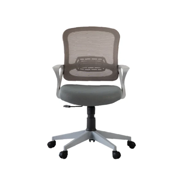 Cherry Comfort M.B Office Mesh Chair
